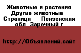 Животные и растения Другие животные - Страница 3 . Пензенская обл.,Заречный г.